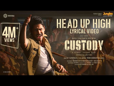 Head Up High Song Lyrics Custody 2023