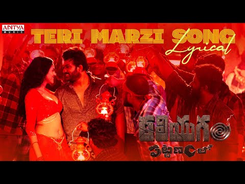 Teri Marzi Song Lyrics 2024